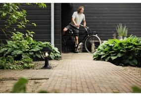 Philips 16496/30/PN - Vonkajšia lampa MYGARDEN ALPENGLOW 1xE27/60W/230V IP44