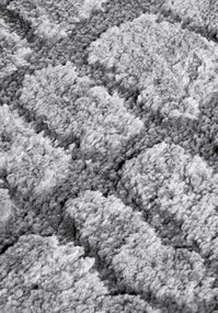 ELLE Decoration, AKCIA: 160x235 cm Kusový koberec Gallery 106097 Light Grey z kolekcie Elle, šedá, obývacia izba