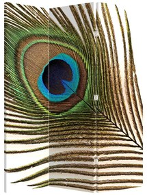 Paraván - Pávie perie (126x170 cm)