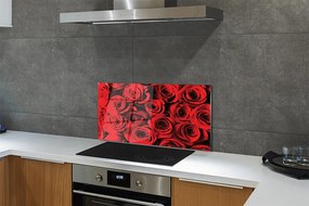 Nástenný panel  ruže 125x50 cm