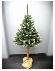 Limpol Smrek Konrad na kmeni 1,80 m