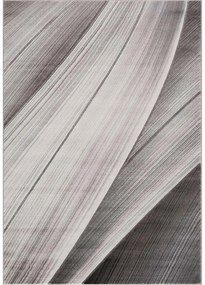 Dekorstudio Moderný koberec NOA - vzor 9258 sivý Rozmer koberca: 80x150cm