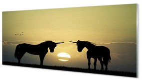 Obraz na akrylátovom skle Poľné sunset jednorožce 120x60 cm