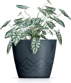 Kvetináč Areca - výber z 6 prevedení