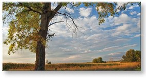 Obraz na stenu PANORÁMA STROMY