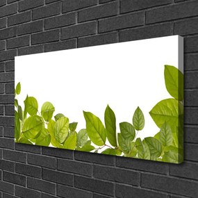 Obraz Canvas Listy príroda rastlina 125x50 cm