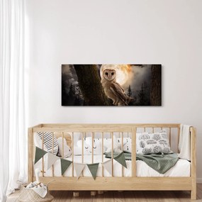 Obraz sovy (120x50 cm)