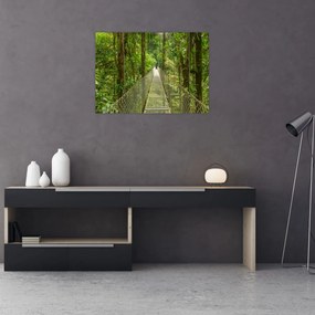 Obraz - Závesný most (70x50 cm)
