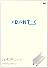 DANTIK rám na obraz 59,4x84 | ALU Dýha bílá (Plexi Čiré)