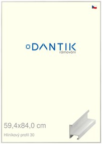 DANTIK rám na obraz 59,4x84 | ALU Dýha bílá (Plexi Čiré)