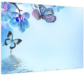 Sklenený obraz - Motýľ na kvetoch orchidey, modrý (70x50 cm)