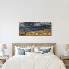 Obraz - kaktusy v prírode (120x50 cm)