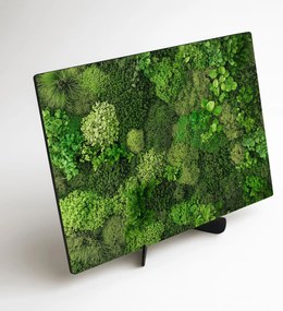 DUBLEZ | Tlačený machový obraz na stenu