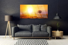 Obraz plexi Západ slnka lúka plátky 120x60 cm