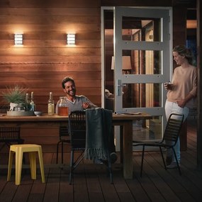 Philips 17323/47/16 - Vonkajšie nástenné svietidlo MYGARDEN PYTHON 1xLED/6W/230V IP44