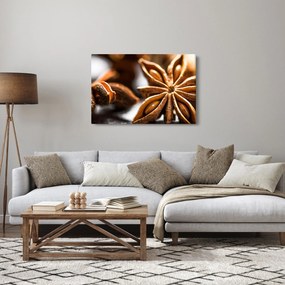 Obraz - Aníz (90x60 cm)