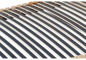 ECOMATRACE  LUXUSNÝ ROŠT TRIOFLEX MOTOR QUATTRO MEMORY RADIO