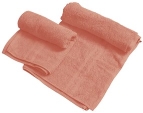 Uterák BASIC DUAL 50 x 100 cm marhuľový, 100% bavlna