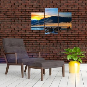 Obraz - Napájadlo (90x60 cm)