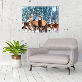 Obraz - Stádo jeleňov (70x50 cm)