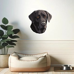 PIPPER. Nálepka Čierny Labrador Veľkosť: 60 cm