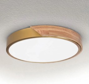 BRILAGI - LED Stropné svietidlo PILANA LED/24W/230V dub/zlatá pr. 30 cm