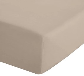 Svetlohnedá napínacia perkálová plachta 90x190 cm Easy Iron Percale – Catherine Lansfield