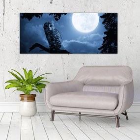 Obraz - Nočná sova (120x50 cm)