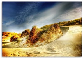 Obraz na plátně Písečná pláž Dunes - 60x40 cm