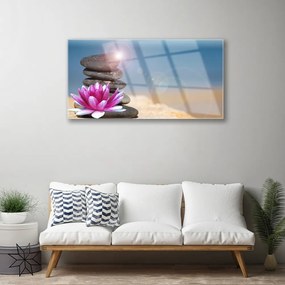 Obraz plexi Kamene kvet umenie 100x50 cm