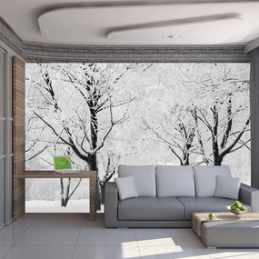 Artgeist Fototapeta - Trees - winter landscape Veľkosť: 200x154, Verzia: Premium
