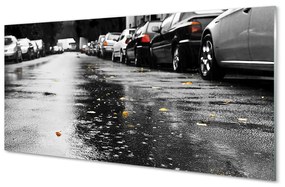 Obraz plexi Car jesenné lístie cesty 125x50 cm