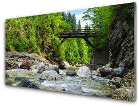 Skleneny obraz Drevený most v lese 140x70 cm