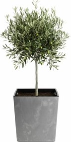 Kvetináč FLORE Betón 41x39,5x39,5 cm sivý