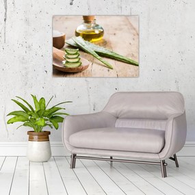 Sklenený obraz - Aloe vera (70x50 cm)