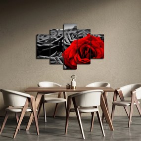 Obraz - Ruže (150x105 cm)