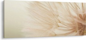 Obraz - Detaily kvetu (120x50 cm)