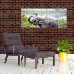 Obraz - Kúpajúci sa slon (120x50 cm)