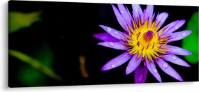 Obraz kvetu (120x50 cm)