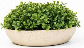 Okrasná miska CAVERO, sklolaminát, priemer 32 cm, béžová