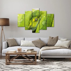Obraz hada (150x105 cm)