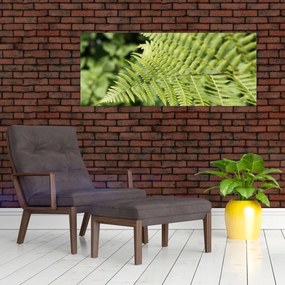 Obraz - Papradinový list (120x50 cm)