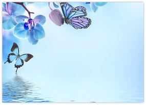 Sklenený obraz - Motýľ na kvetoch orchidey, modrý (70x50 cm)