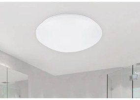 Rabalux 3436 - LED stropné svietidlo LUCAS LED/24W/230V