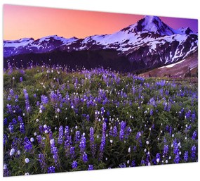 Obraz - Sopka a kvety (70x50 cm)