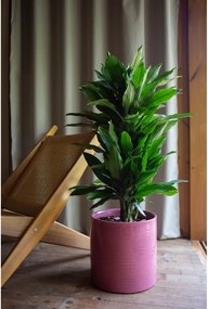 Keramický ručne vyrobený obal na kvetináč ø 25 cm Fortuna – Artevasi