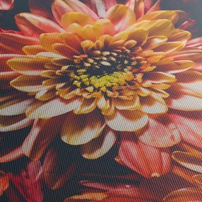 Obraz poľa levanduľou (70x50 cm)