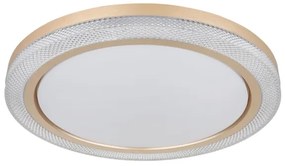 Globo 41372-24 - LED RGBW Stmievateľné stropné svietidlo BOLLY LED/20W/230V + DO