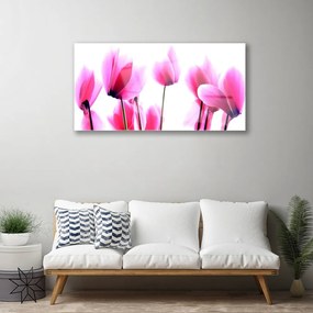Obraz na skle Kvetiny rastlina 120x60 cm