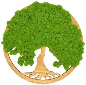 Strom na stenu z machu Melusine 50 cm